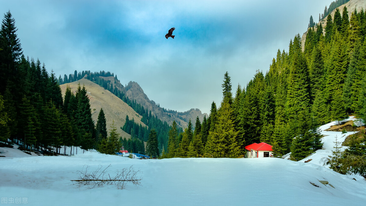 新疆旅行美丽的沙湾,新疆塔城沙湾旅游攻略