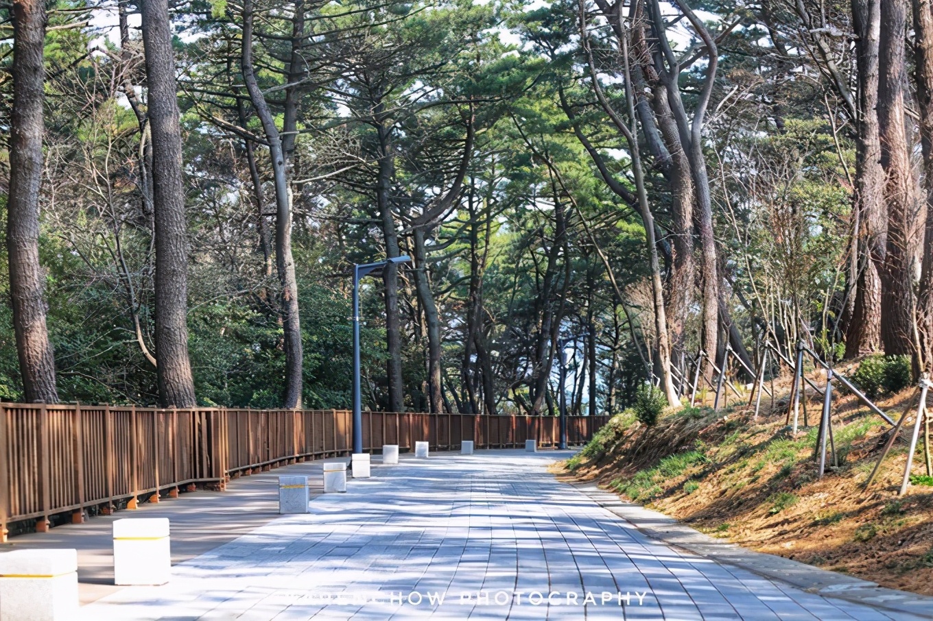 韩国安东美食,韩国釜山必游胜地