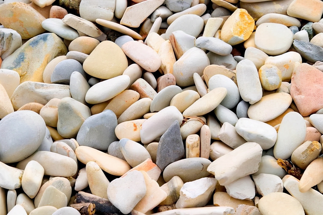 人类排泄需要用纸巾清理屁股，为什么动物却不需要？