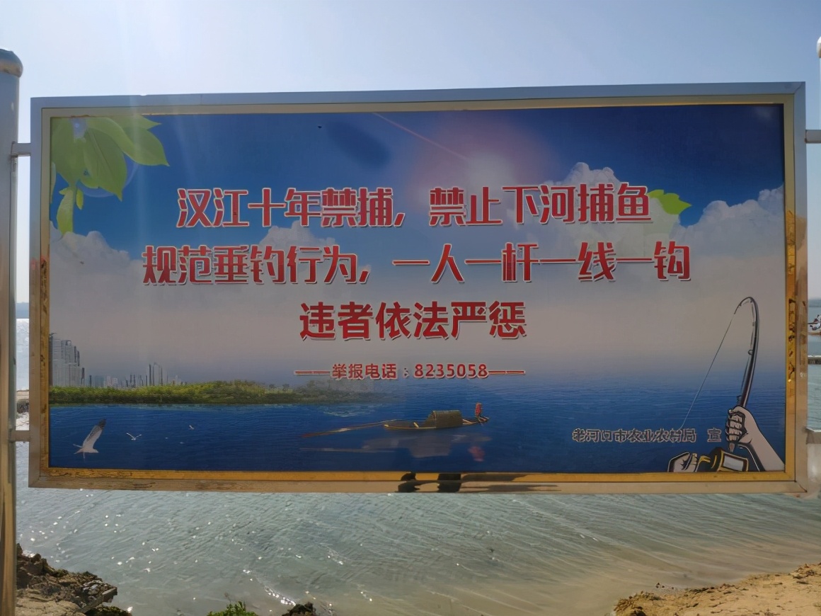 钓鱼犯法的11个禁忌,哪些方法钓鱼违法