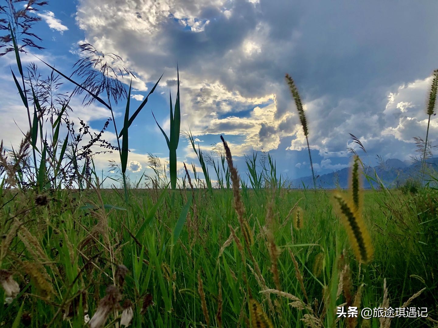 <html>
<head><title>502BadGateway</title></head>
<body>
<center><h1>502BadGateway</h1></center>
<hr><center>nginx</center>
</body>
</html>
<!--apaddingtodisableMSIEandChromefriendlyerrorpage-->
<!--apaddingtodisableMSIEandChromefriendlyerrorpage-->
<!--apaddingtodisableMSIEandChromefriendlyerrorpage-->
<!--apaddingtodisableMSIEandChromefriendlyerrorpage-->
<!--apaddingtodisableMSIEandChromefriendlyerrorpage-->
<!--apaddingtodisableMSIEandChromefriendlyerrorpage-->
