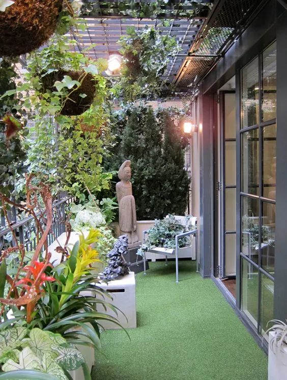 抓住5个关键点,确保阳台盆栽顺利过冬,来年盛开更旺更兴盛