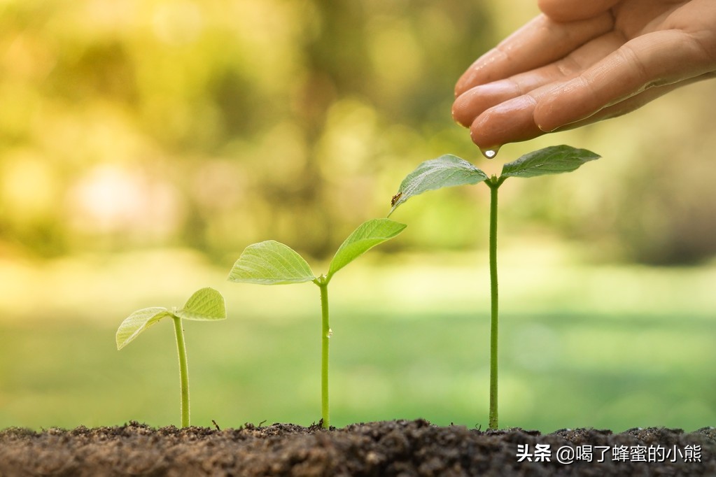 房产中介销售技巧及话术,房产商铺销售技巧和话术