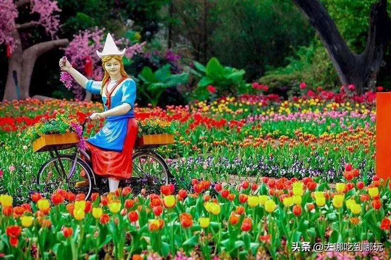 38抢从化宝趣玫瑰世界1大1小票赏春赏花赏美景不负*光春**不负卿