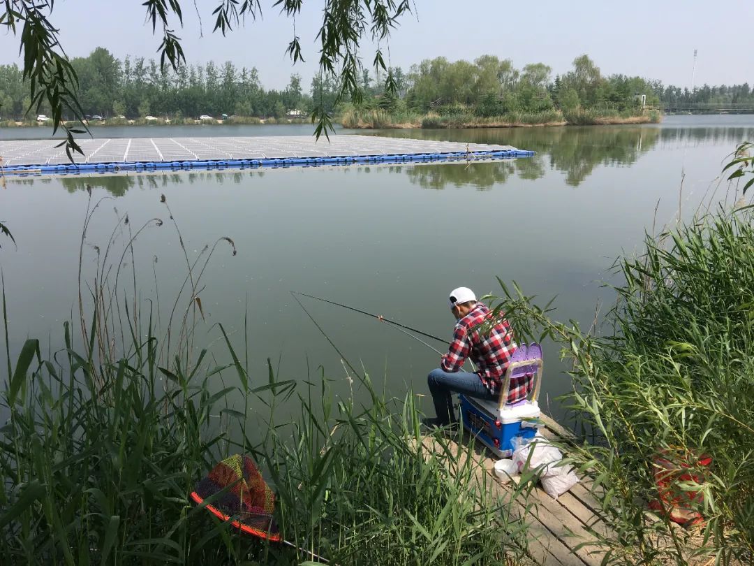 走进北京蟹岛垂钓园,北京蟹岛垂钓园介绍