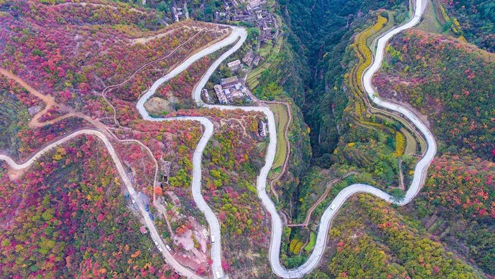 来迟了作品,来迟了歌曲完整版