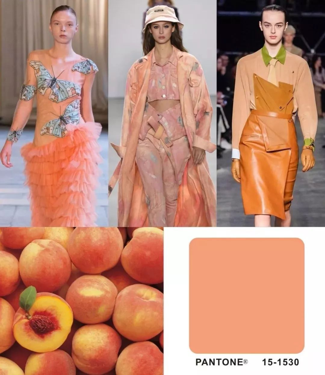 发色2020流行色蜜桃粉 (渐变蜜桃粉秋冬)