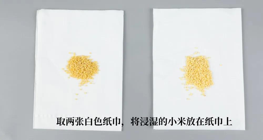 黄小米N+1种网红吃法,专治夏季没胃口