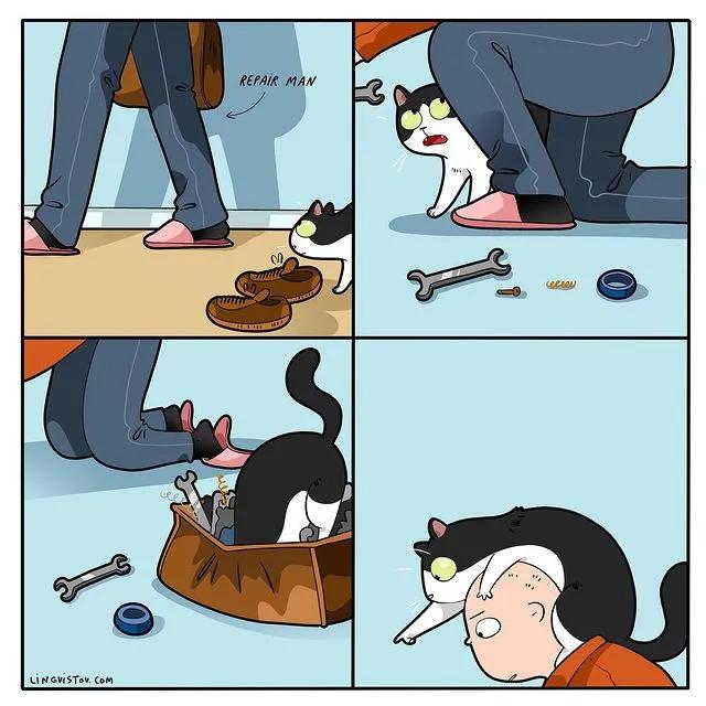 沙雕猫片，笑到床塌！自从做了卑微的铲屎官，比一个人时刺激多了