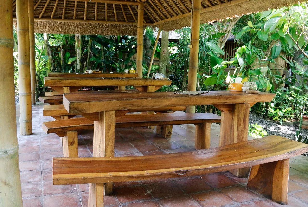 一杯咖啡卖到6200元,全网最正宗的猫屎咖啡