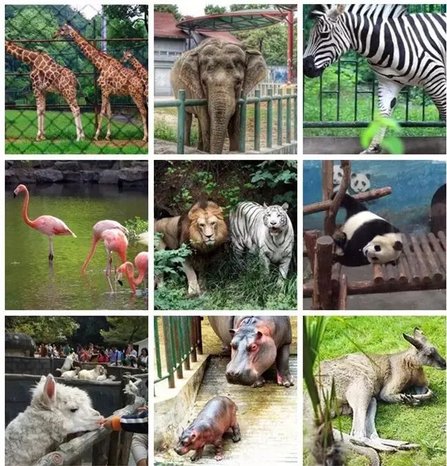 南京周末遛娃好去处,悠闲带娃好去处