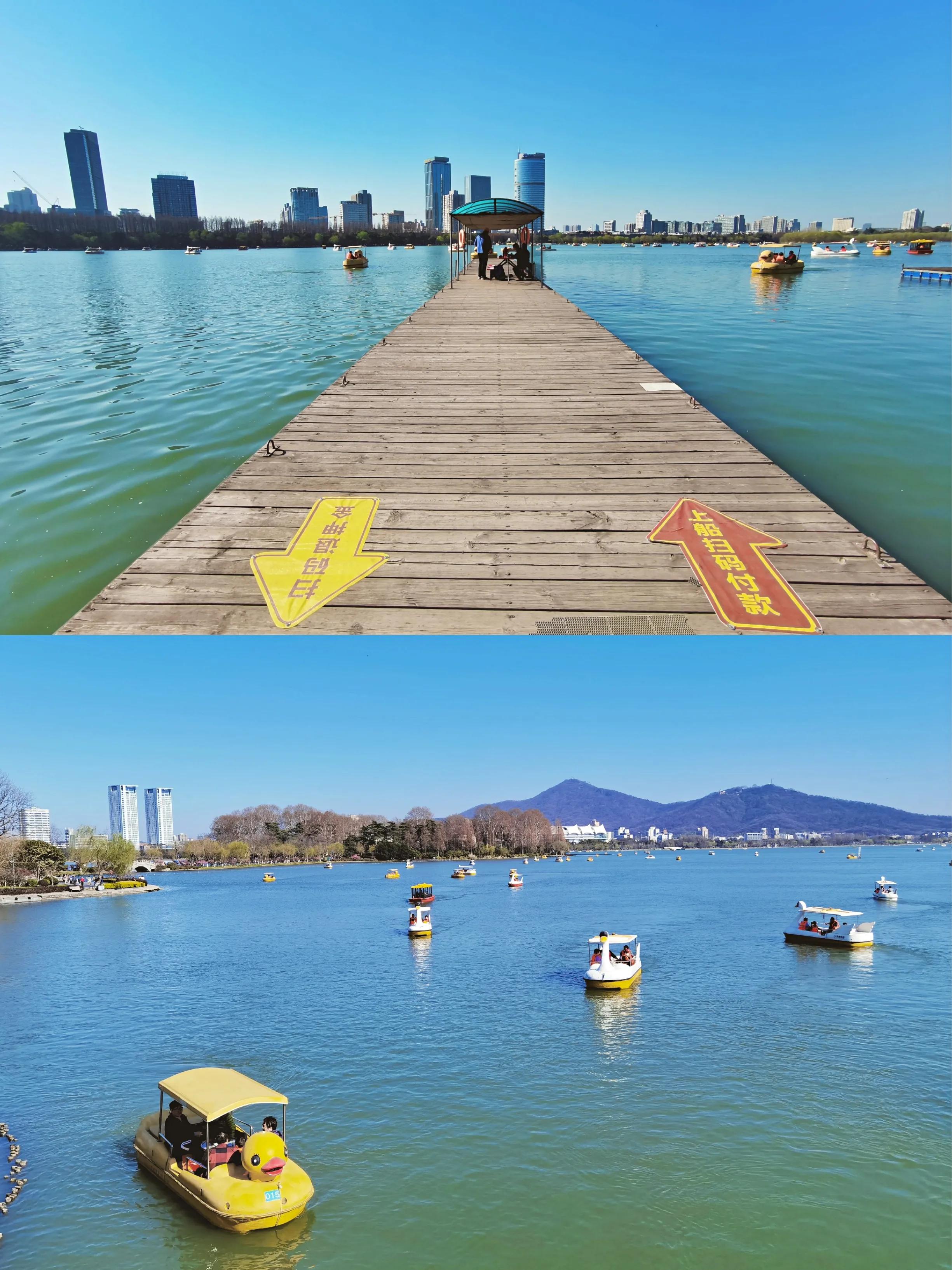 没有人可以拒绝冬天的大理,玄武湖的春天太美了