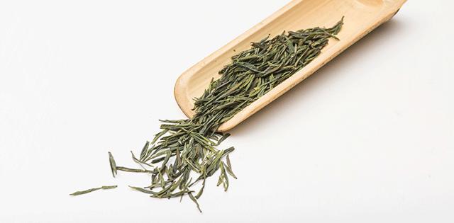 绿茶伤胃吗真的假的,绿茶伤胃