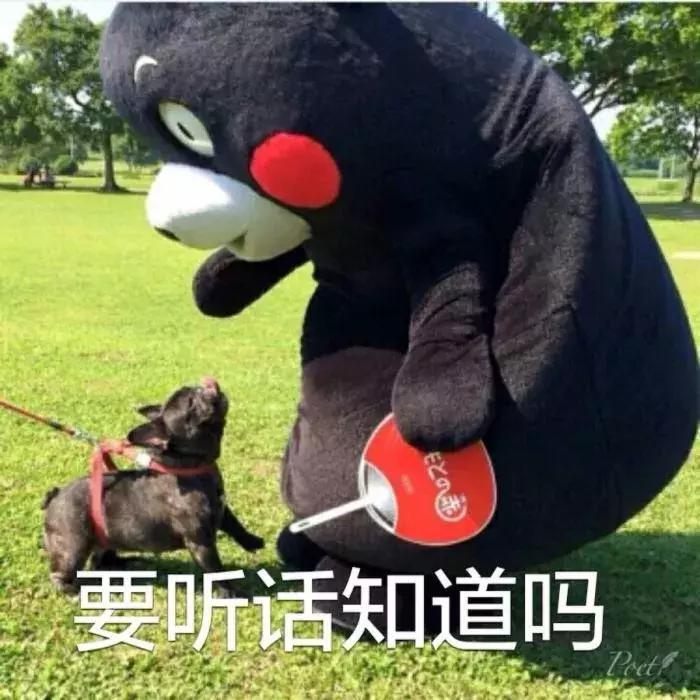 脑瘤英文名,脑阔疼抖音名字