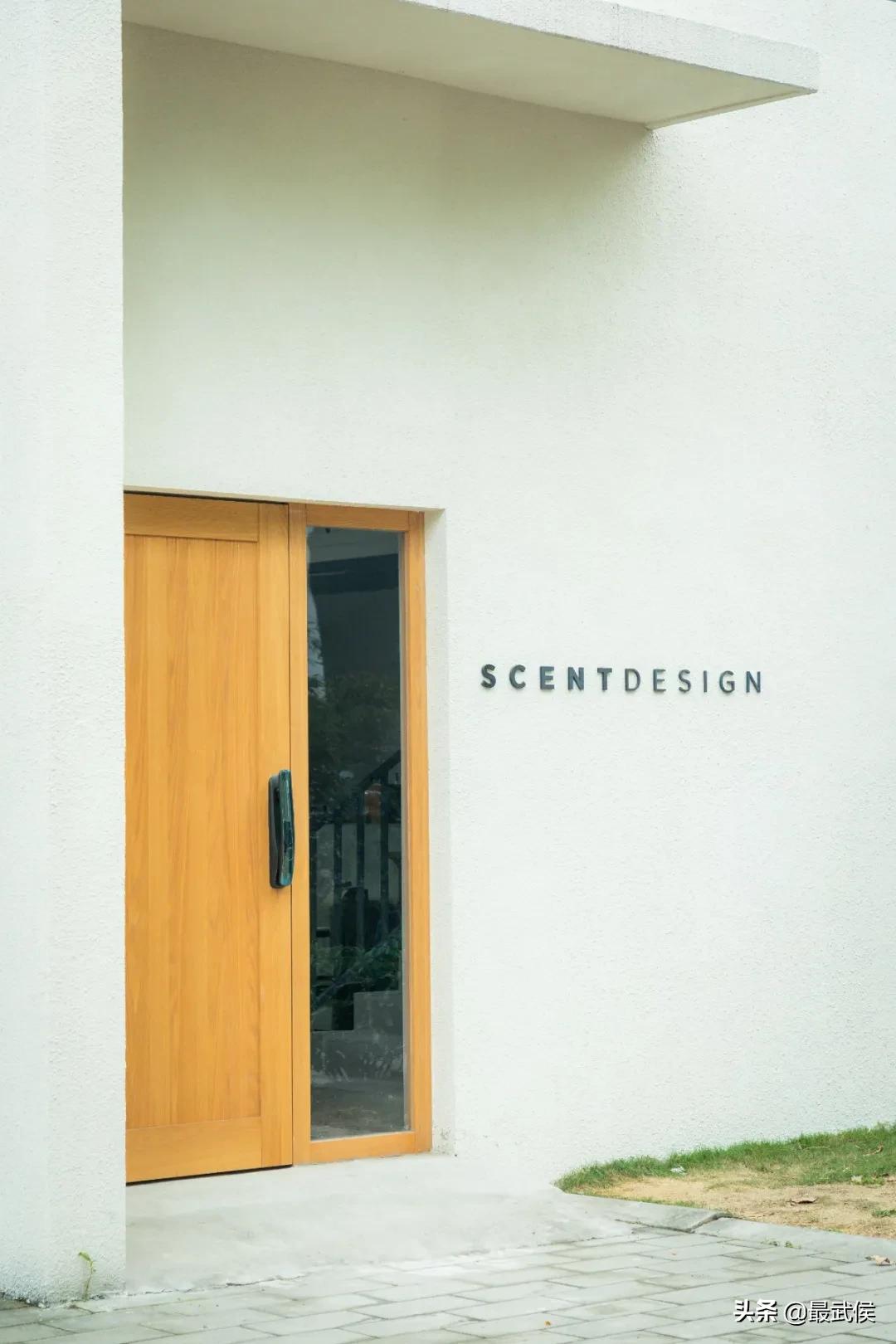 超便宜！成都铁轨下的花市5元买回一个春天！