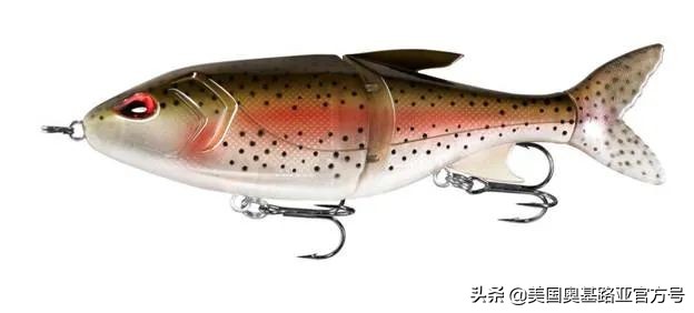 全国渔具展会2024时间表,全国渔具展2024