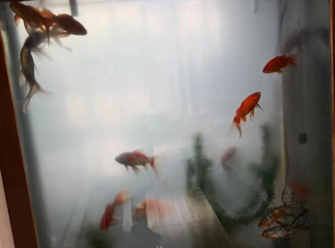 水质有点黄怎么处理,水质黄浊怎么处理最好