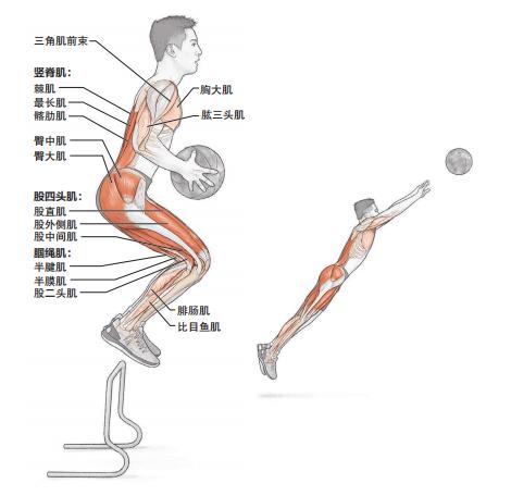 快速增强力量的训练,提升全身爆发力最好的方法