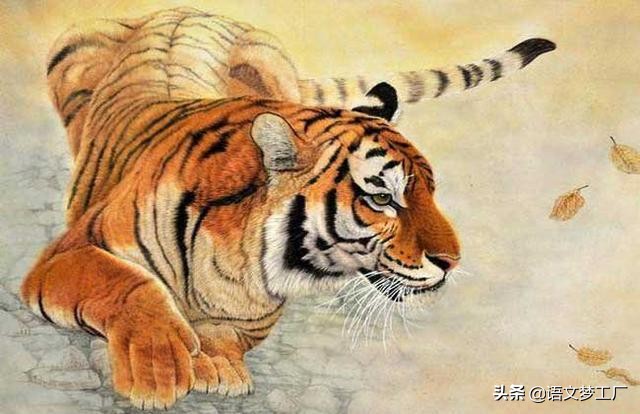 十二生肖的成语和歇后语大全,十二生肖的成语100个二年级