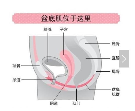 产后康复美容美体,产后康复连锁服务