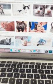 只能亮度调亮才能看得懂的梗,调高亮度才能看懂的梗