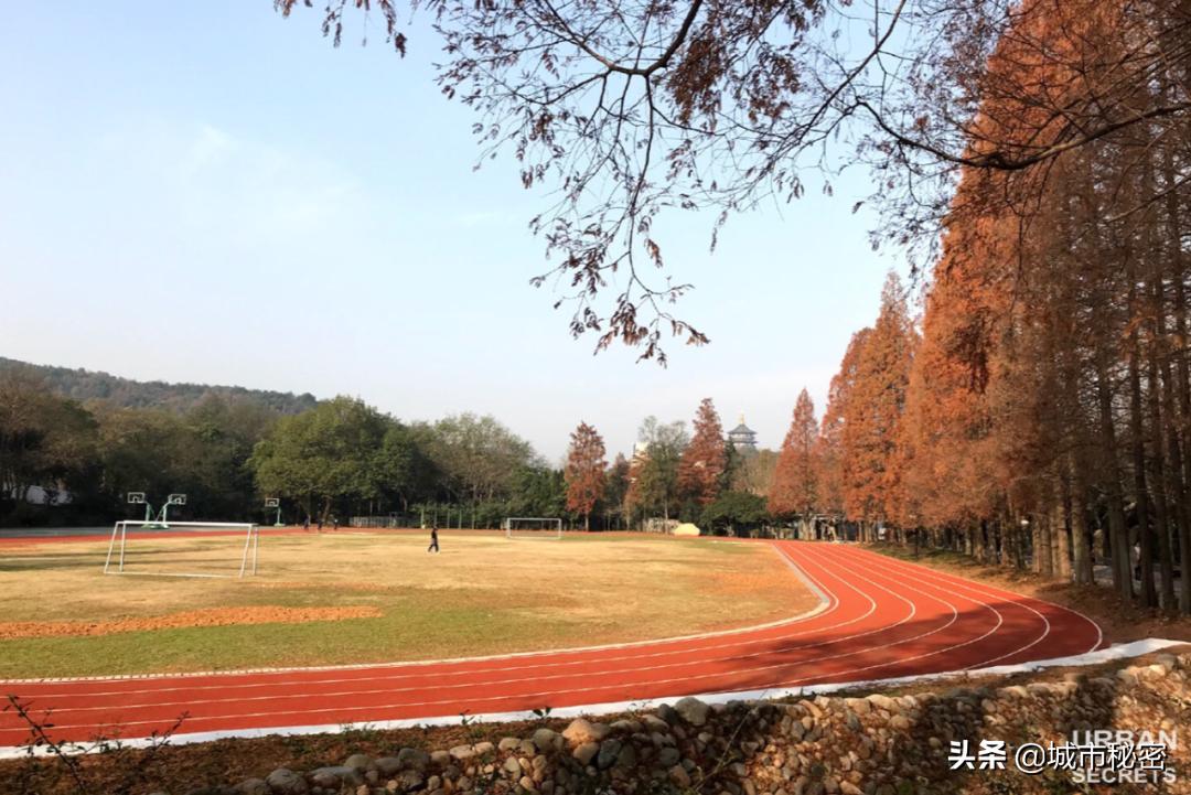 杭州小学名师诞生地(上)