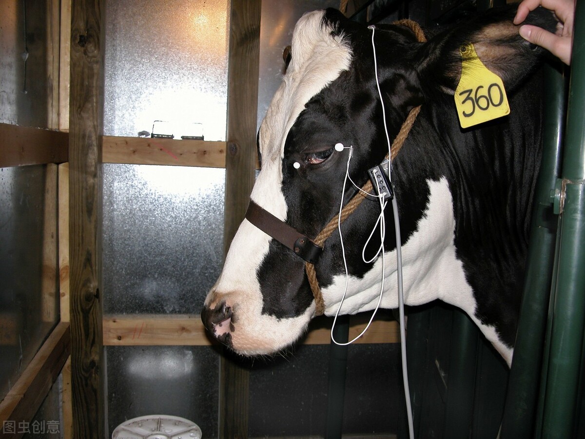 刻在基因上的禁令知乎,刻在基因上的禁令