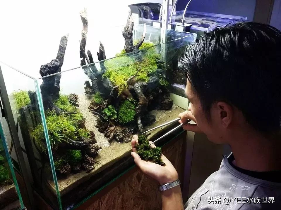 硝化细菌正确使用方法,新买的硝化细菌怎么用