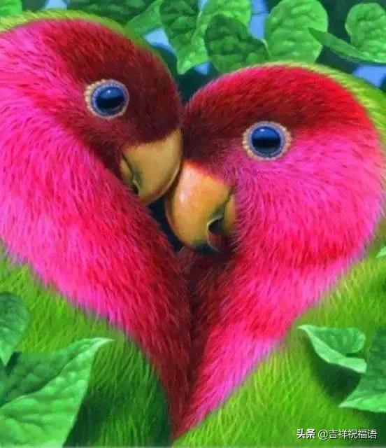 今天是6.4,夫妻日,百年一遇的吉祥日子,送给天下所有的夫妻