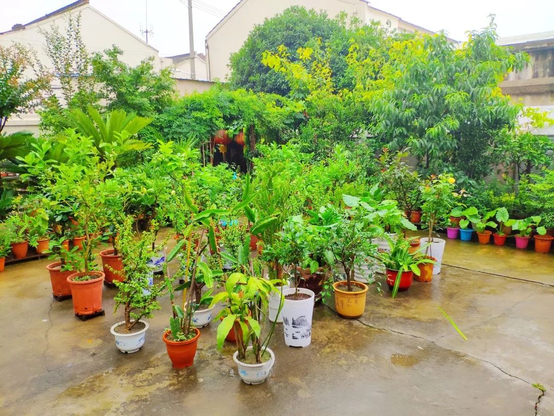 风景好的地方江阴,江阴好风景