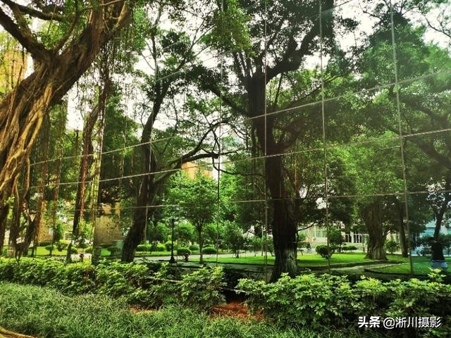 中国最美丽的校园照片,中国最美丽的校园中山大学南校区