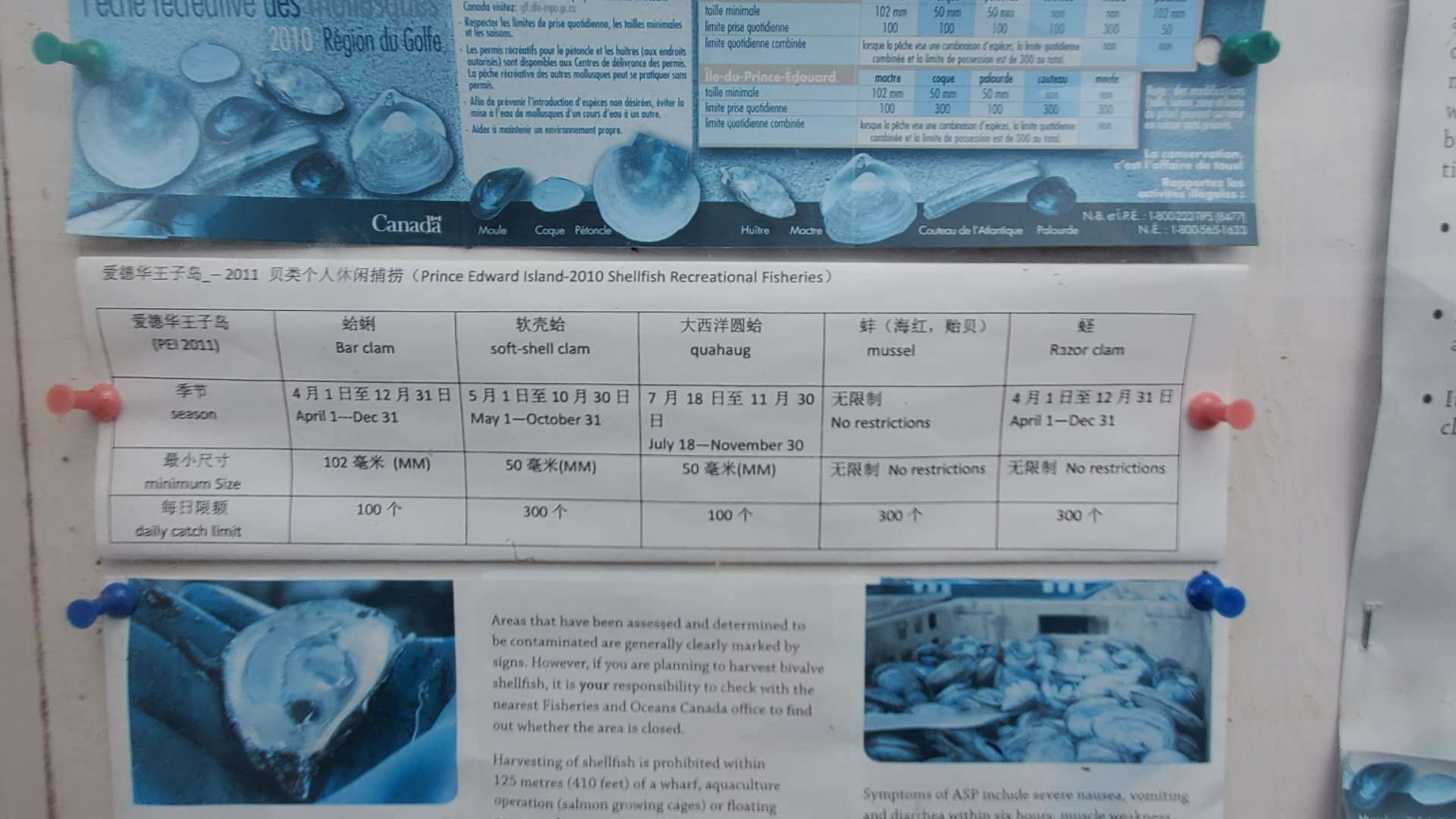 爱德华王子岛旅游,爱德华王子岛避暑之旅