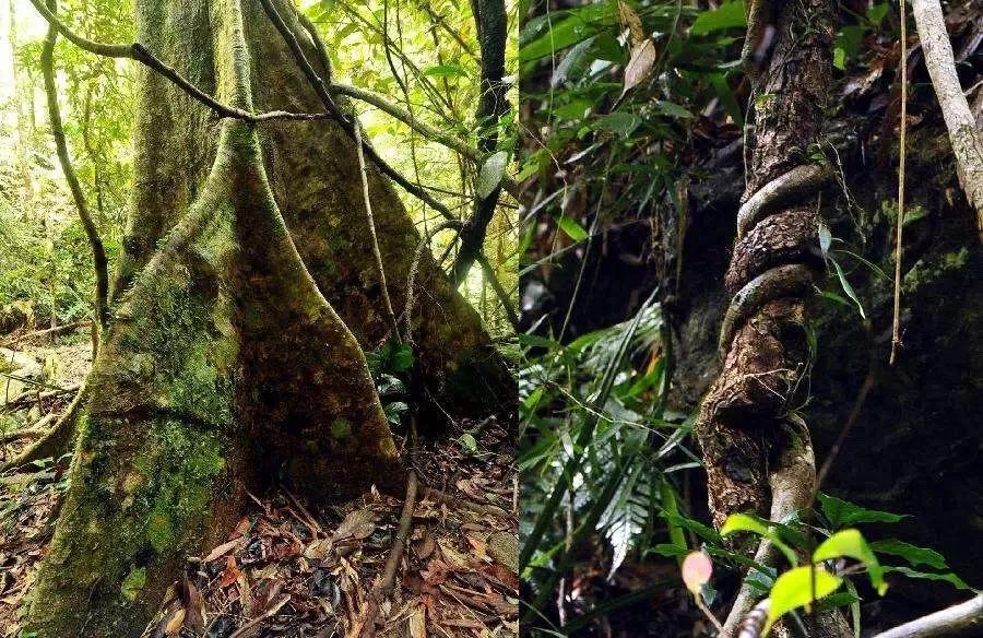 乐东一座什么样的小城,海南乐东最好的城市