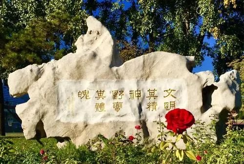 美团怼国足,美团王兴说国足的话