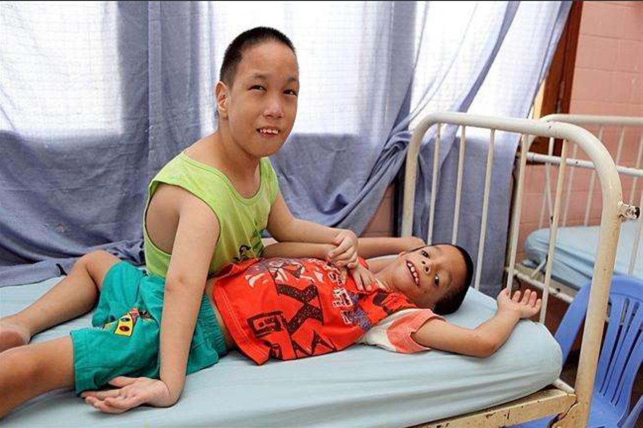 二恶英的来源及危害,二恶英超标正常吗