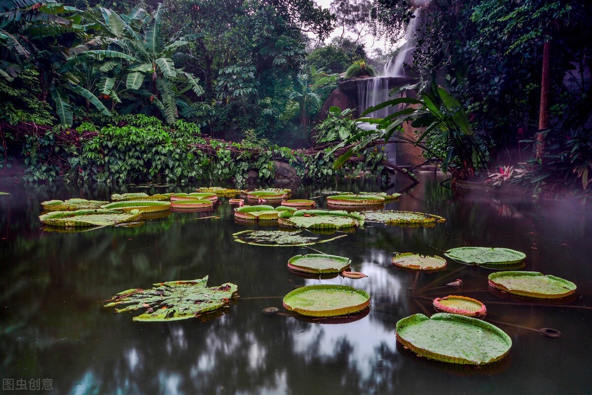 厦门五一旅游攻略景点打卡,厦门旅游必打卡景点