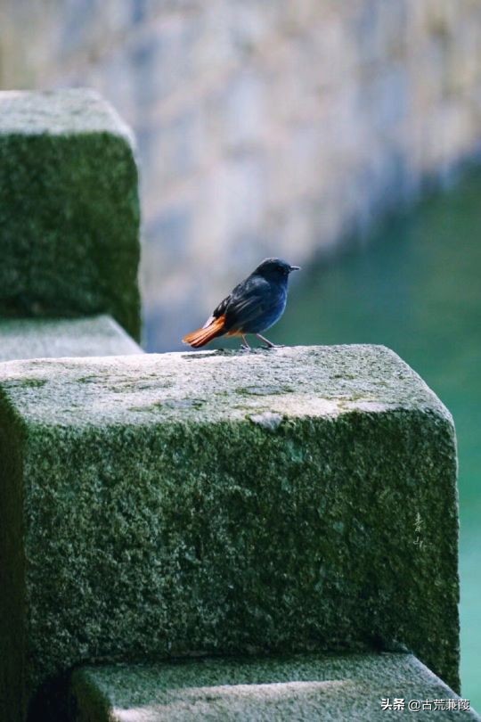 世道轮回因缘际会一切皆有定数,终须有缘到无时莫强求万般皆是命