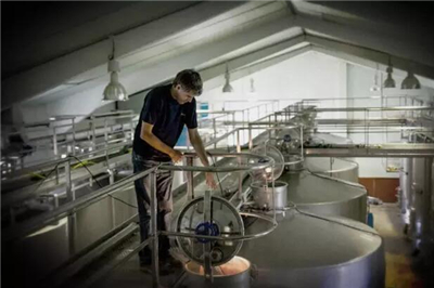 红葡萄酒是怎么发酵的,红葡萄酒的酿造过程