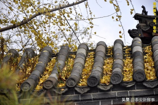 泰山斗姆宫尼姑,泰山斗母宫和斗姥宫