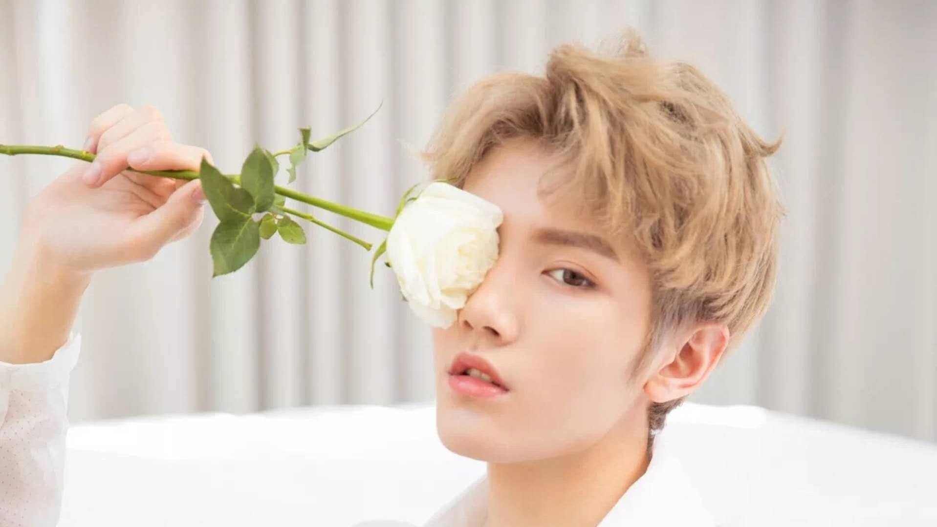 邓伦刘昊然易烊千玺新生代各省省草你喜欢哪一只？