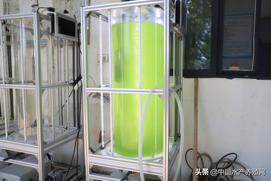 你还在守着塘口做无用功吗？渔业新时代即将到来，解放双手的同时，还能实现精准养殖