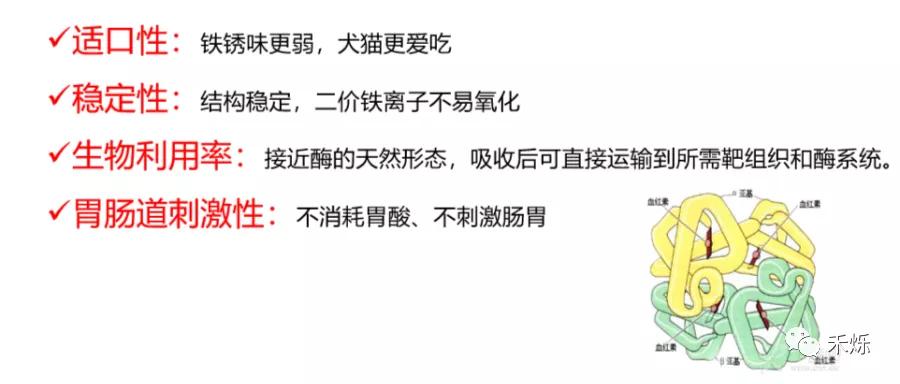 宠物贫血的原因有哪些,宠物严重贫血