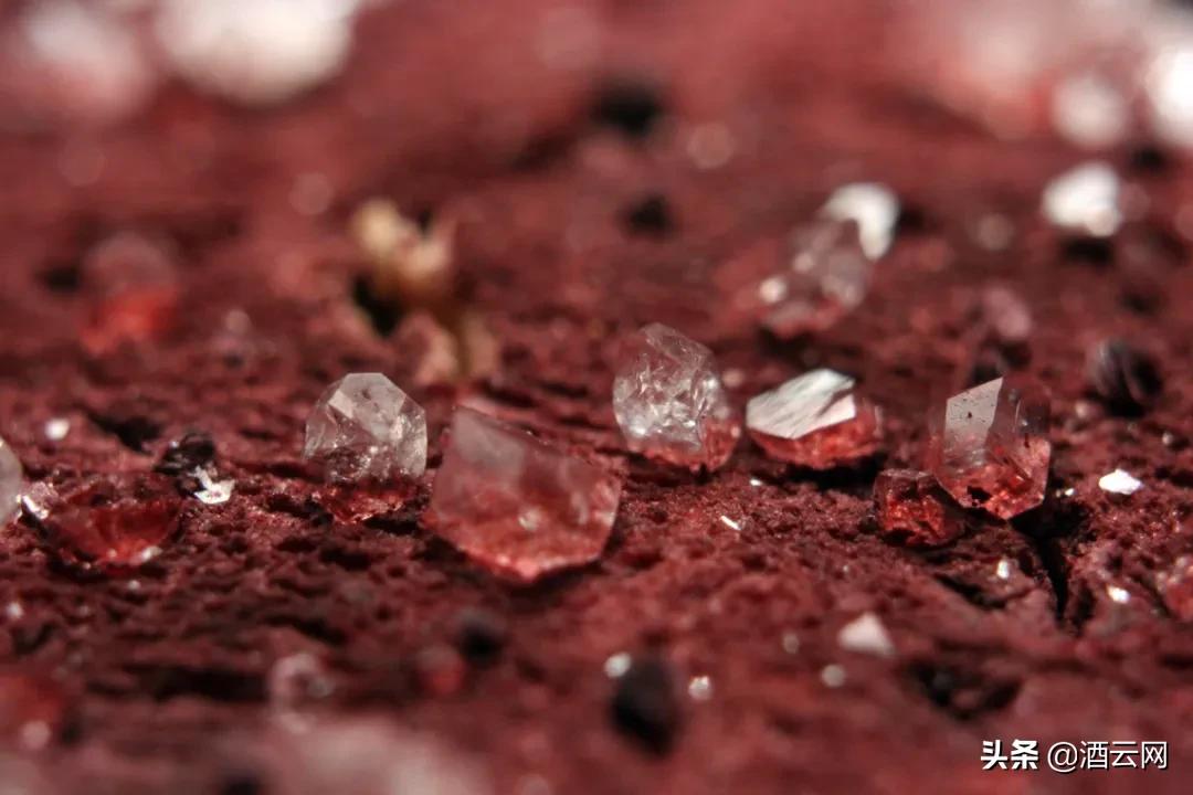 葡萄酒有渣是好还是坏,葡萄酒里有籽和梗吗