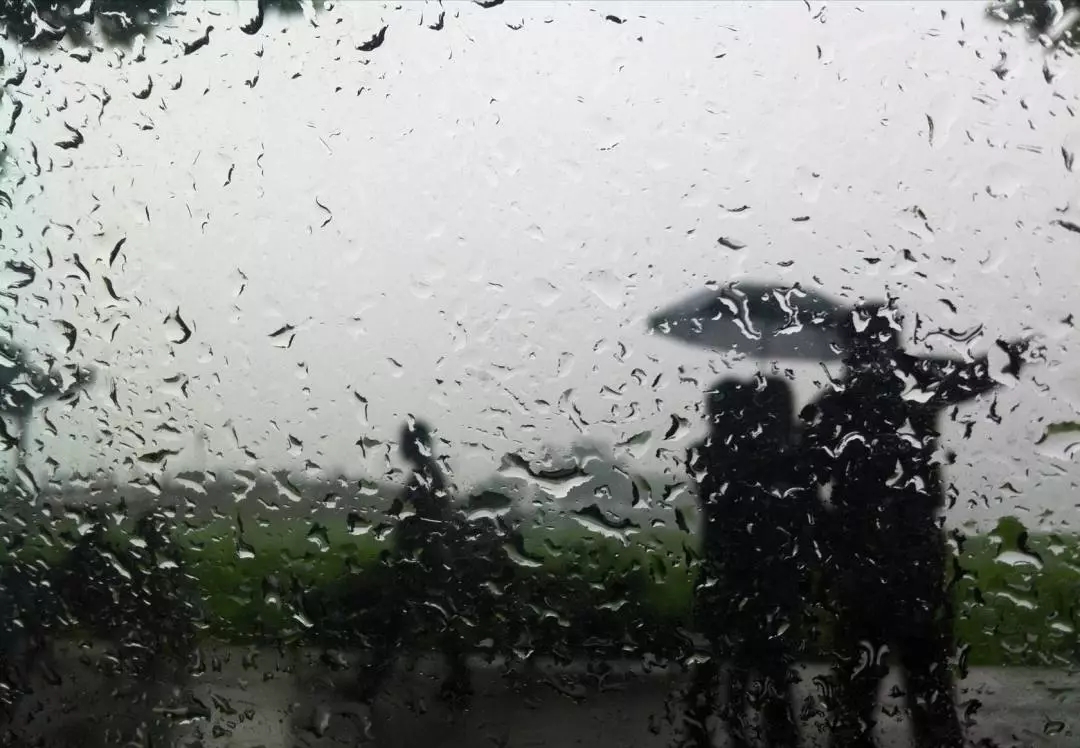 鹿城金茂府丨绿色人居科技宅，锻造超级IP影响力