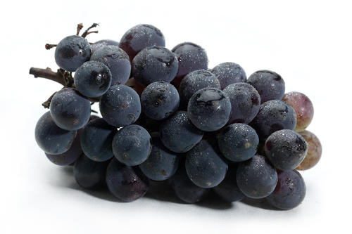 狗狗撒尿带血怎么治,养狗后尿血怎么回事男士