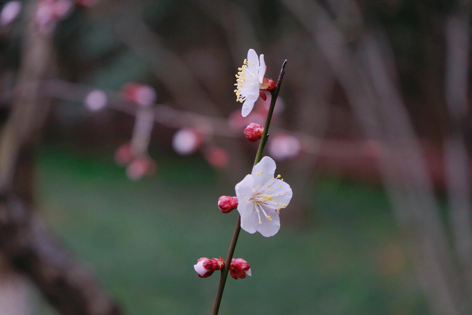 随笔在风华正茂的日子里迷途知返,随笔每一个孩子都值得期待