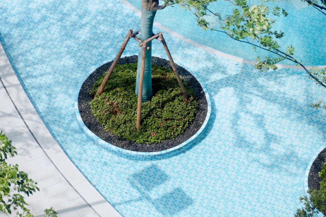 苏州仁恒园和价格暴跌,苏州仁恒园和