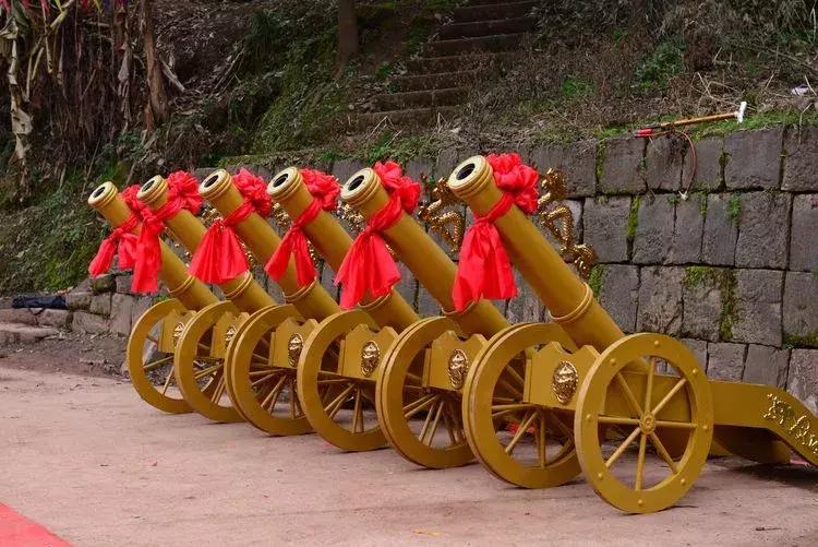 杨氏宗亲大团聚,杨氏宗亲联欢晚会完整视频