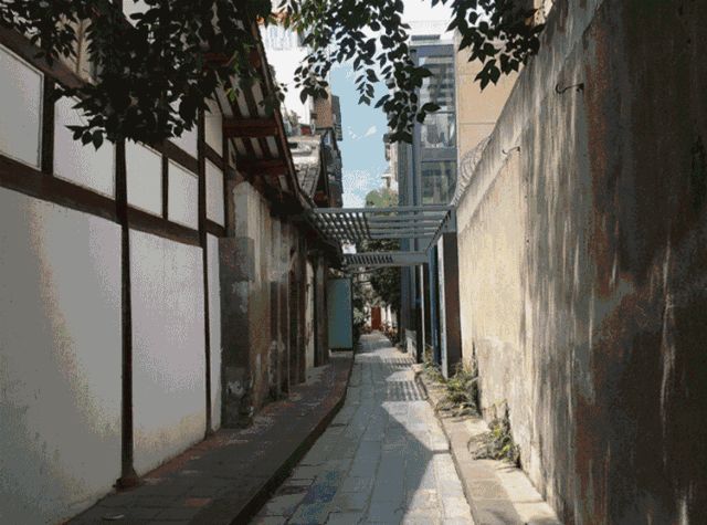 四川东方伊甸园在哪里,成都伊甸园风景