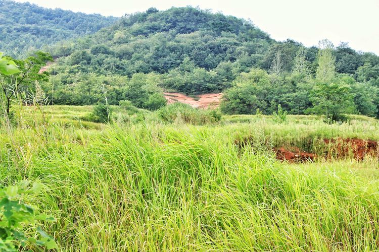安徽草原旅游,安徽大草原景区